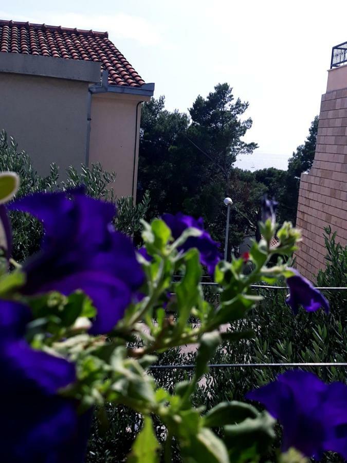 Apartmani I Soba Andrijasevic Макарська Екстер'єр фото